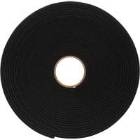 4504 Vinyl Foam Tape, 25.4 mm (1") W x 16.5 m (54') L, 250 mils, Black Distribution Industrielle GC
