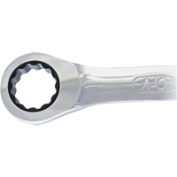 Non-Reversing Ratcheting Combination Wrench Distribution Industrielle GC