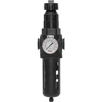 Filtre/r&eacute;gulateur Modulair 400 avec vidange manuelle, 3/4" NPT, 200 psi, Capacit&eacute; de 9,1 oz liq. Distribution Industrielle GC
