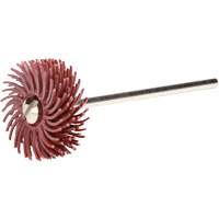 Scotch-Brite Radial Bristle Discs, P220X Grit, 3/4" Dia. Distribution Industrielle GC