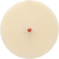 Scotch-Brite Moulding Adhesive and Stripe Removal Disc 7502, 6" Dia. Distribution Industrielle GC