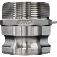 Cam & Groove Coupling, Stainless Steel, Type F, 3/4", Male NPT, 250 PSI Distribution Industrielle GC