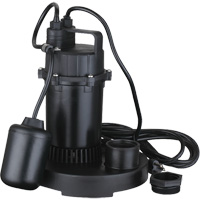 Pompe de puisard submersible thermoplastique, 2560 gal./h, 115 V, 4,6 A, 1/3 CV Distribution Industrielle GC