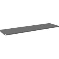 Tablette pour armoire, 59-3/4" x 16-3/8", Capacit&eacute; de 500 lb, Gris Distribution Industrielle GC