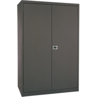 Armoires de rangement Hi-Boy profondes, Acier, 4 Tablettes, 72" h x 36" la x 24" P, Charbon Distribution Industrielle GC