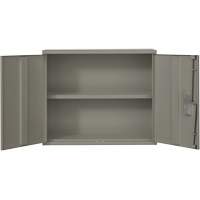 Armoire murale, Acier, 2 Tablettes, 30" h x 36" la x 12" P, Gris Distribution Industrielle GC