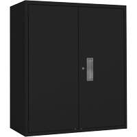 Armoire de rangement Lo-Boy, Acier, 2 Tablettes, 42" h x 36" la x 18" P, Noir Distribution Industrielle GC