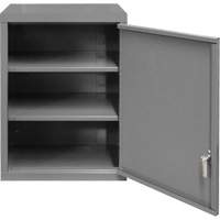 Armoire murale, 27" h x 13-11/16" la x 18" p, 2 tablettes, Acier, Gris Distribution Industrielle GC