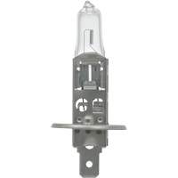 64155 Ampoule automobile de base, Halog&egrave;ne, 78 W, Blanc cass&eacute; Distribution Industrielle GC