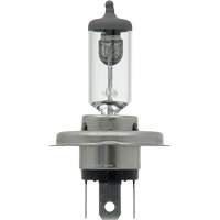 9003 Ampoule de base pour feu avant, Halog&egrave;ne, 61 W/67 W, Blanc cass&eacute; Distribution Industrielle GC