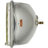 Phare automobile scell&eacute; de base H6054, 35 W, Blanc Distribution Industrielle GC