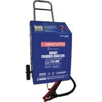 Chargeur 12 V 60 A &agrave; roues Intellamatic Distribution Industrielle GC