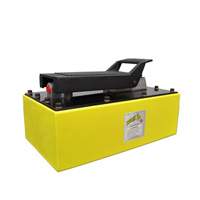 Pompe hydraulique &agrave; air de 5 pintes Distribution Industrielle GC