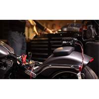 Chargeur de batterie 10 A Genius 10 Distribution Industrielle GC