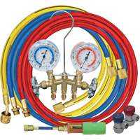 Jeu de manom&egrave;tres collecteurs avec coupleurs manuels et mini-injecteur de colorant Distribution Industrielle GC