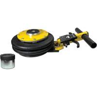 V&eacute;rin &agrave; coussin gonflable biphas&eacute; s&eacute;rie Pro, 2 tonne(s), 17" Hauteur &eacute;lev&eacute;e Distribution Industrielle GC