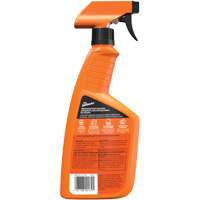 Nettoyant automobile tout usage, 16 oz/473 ml, Bouteille &agrave; g&acirc;chette Distribution Industrielle GC