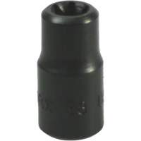 Douille Torx&reg; E-8 Distribution Industrielle GC