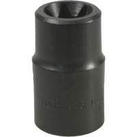 Douille Torx&reg; E-18 Distribution Industrielle GC