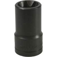Douille Torx&reg; E-20 Distribution Industrielle GC
