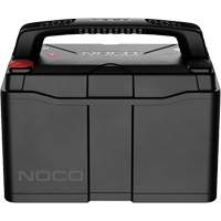 Group 31 120Ah Lithium-Ion LiFePO4 Dual-Purpose Battery Distribution Industrielle GC