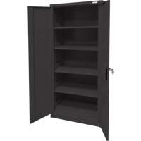 Storage Cabinet, Steel, 4 Shelves, 66" H x 30" W x 15" D, Black Distribution Industrielle GC