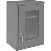 Armoire de rangement murale avec portes transparentes, 26-15/16" h x 18-1/8" la x 13-11/16" p, 2 tablettes, Acier, Gris Distribution Industrielle GC