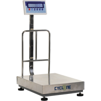 Balance &agrave; plateforme et d'&eacute;tabli Cyclone 300, Capacit&eacute; de 600 lb / 300 kg, 17-3/4" lo x 23-3/5" la Distribution Industrielle GC