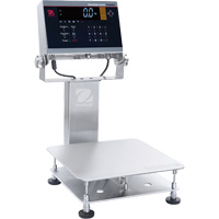 Balance d&eacute;tabli lavable 6000 Defender, Capacit&eacute; de 25 lb, 11-4/5" lo x 11-4/5" la Distribution Industrielle GC