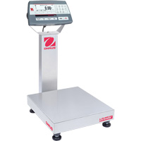 Balance de table multifonctionnelle 5000 Defender, Capacit&eacute; de 25  lb, 14" lo x 12" la Distribution Industrielle GC
