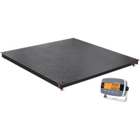 Defender 3000 Floor Scale, 5000 lbs. Capacity, 4' L x 4' W Distribution Industrielle GC