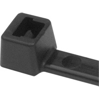Attaches de c&acirc;ble PA66, Longueur 5-1/2", R&eacute;sistance &agrave; la traction 18 lb, Noir Distribution Industrielle GC