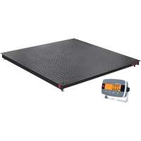 Balance de plancher DEFENDER 3000, Capacit&eacute; de 2500 lb, 48" la x 48" lo Distribution Industrielle GC
