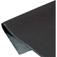 Tapis ColorStar, Essuie-pieds, 3' x 5' x 3/8", Charbon Distribution Industrielle GC