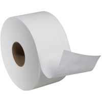 Rouleau de papier hygi&eacute;nique Advanced Soft Mini, Rouleau G&eacute;ant, 2 Pli, Longueur 751', Blanc Distribution Industrielle GC