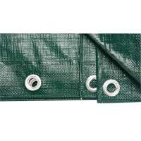 B&acirc;che, Robuste, Vert, 8' x 6' x 9 mils Distribution Industrielle GC