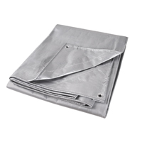 B&acirc;che, Super robuste, Argent, 10' x 8' x 12 mils Distribution Industrielle GC