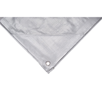 B&acirc;che, Super robuste, Argent, 10' x 8' x 12 mils Distribution Industrielle GC