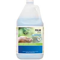 Polar Bathroom Cleaner, 4 L, Jug Distribution Industrielle GC