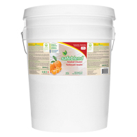 Neutral Cleaner, 20 L, Pail Distribution Industrielle GC