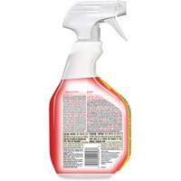 Disinfecting Bio Stain & Odour Remover, 946 ml, Trigger Bottle Distribution Industrielle GC