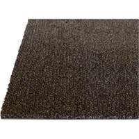 Tapis dint&eacute;rieur Palliser, Essuie-pieds/grattoir, 3-1/2' x 6' x 5/16", Anglis Distribution Industrielle GC