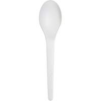 Plantware Renewable and Compostable Spoon Distribution Industrielle GC