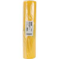 Doublures pour d&eacute;chets dangereux, Amiante, 40" lo x 26" la, 3 mils Distribution Industrielle GC