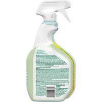 CloroxPro Clorox EcoClean Disinfecting Cleaner, 946 ml, Trigger Bottle Distribution Industrielle GC