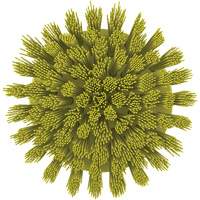 Brosse ronde HyDrive pour perceuse, Soies Tr&egrave;s ferme, Longueur de 3-1/10", Jaune Distribution Industrielle GC