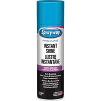 Brillant instantan&eacute; Pro Line pour surfaces en plastique, 11 oz, Canette a&eacute;rosol Distribution Industrielle GC