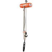 Palans &eacute;lectriques ShopStar, Lev&eacute;e 10', Capacit&eacute; 250 lb (0,125 tonne), 16 pi/min Distribution Industrielle GC