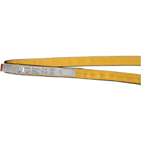 Polyester Slings, Single Ply, Endless, Type 5, 2" W x 3' L, 6200 lbs. Vertical Cap. Distribution Industrielle GC