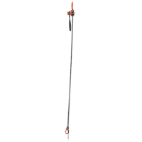 Mini palan &agrave; levier, Lev&eacute;e 10', Cabacit&eacute; 1000 lb (0,5 tonne), Chaîne en Acier Distribution Industrielle GC